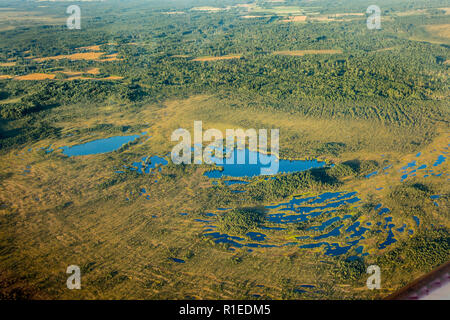 Areal view of bog wetlands in Estonia, Northern Europe in summer. Photographed from private plane. Due to scratches and reflections on plane`s window, Stock Photo